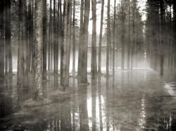 Детский парк_brown